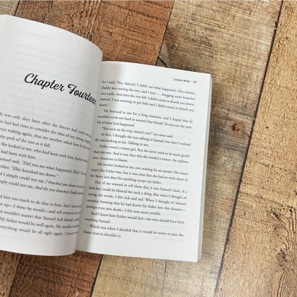 Echo Mountain Paperback Book Historical Fiction Middle Grade Children's Family - Picture 6 of 9